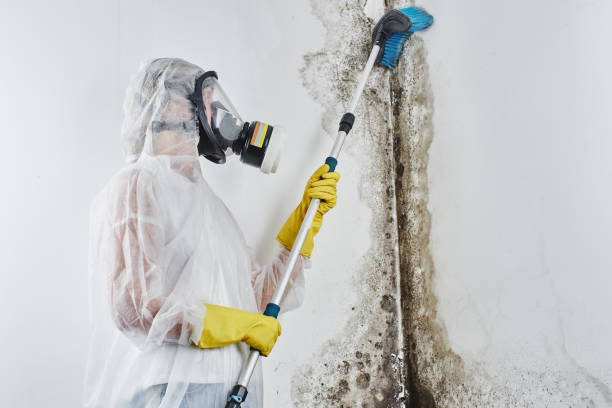  Rutgers University Livingston Campus, NJ Mold Removal Pros